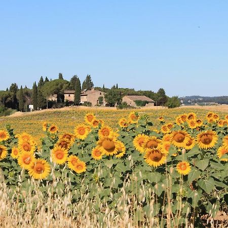 Ginestra Fiorentina Il Poggio B&B المظهر الخارجي الصورة