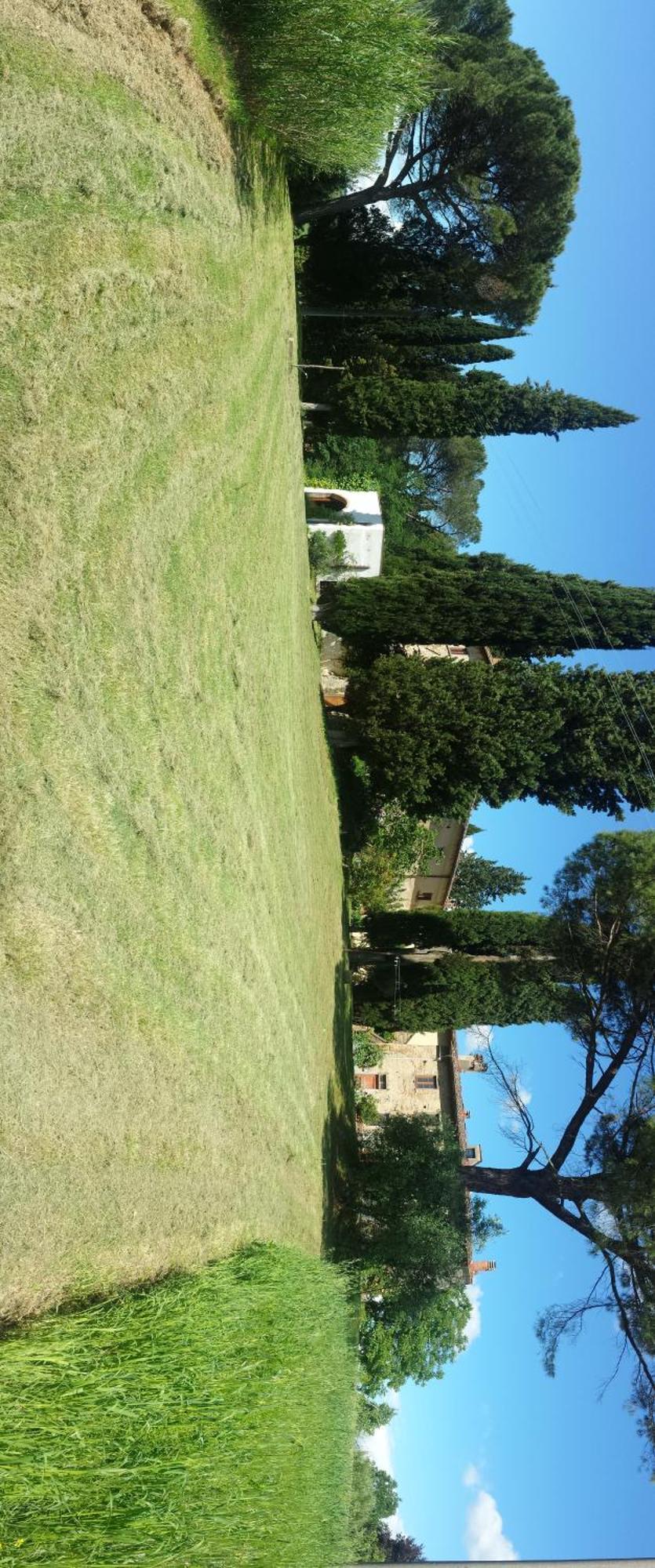Ginestra Fiorentina Il Poggio B&B المظهر الخارجي الصورة