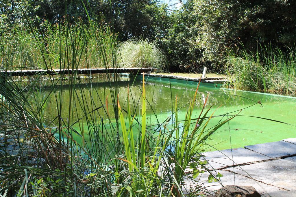 Ginestra Fiorentina Il Poggio B&B المظهر الخارجي الصورة