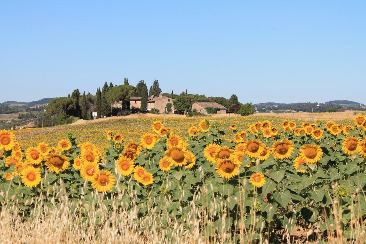Ginestra Fiorentina Il Poggio B&B المظهر الخارجي الصورة